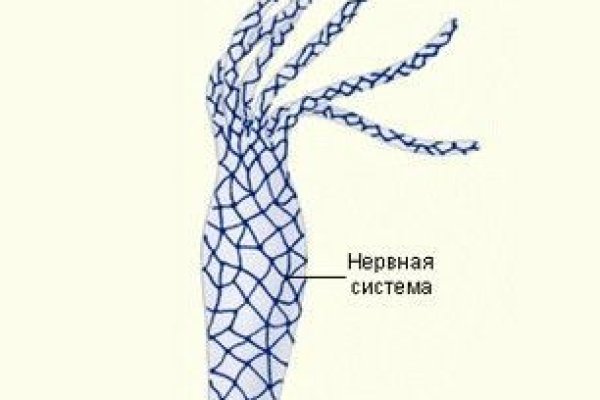 Kraken актуальные ссылки официальный сайт